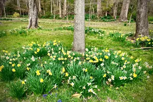 13801 Manor Rd, Baldwin, MD 21013 - Photo 41