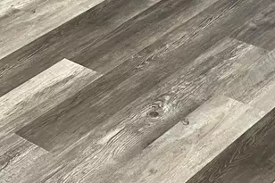 4435 Scotia Rd, Baltimore, MD 21227 - Photo 5