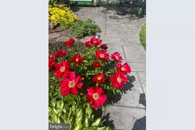 1516 Ridge Road, Baltimore, MD 21228 - Photo 19