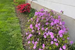 1516 Ridge Rd, Baltimore, MD 21228 - Photo 17