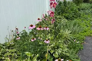 1516 Ridge Rd, Baltimore, MD 21228 - Photo 27