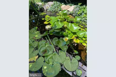 1516 Ridge Road, Baltimore, MD 21228 - Photo 9