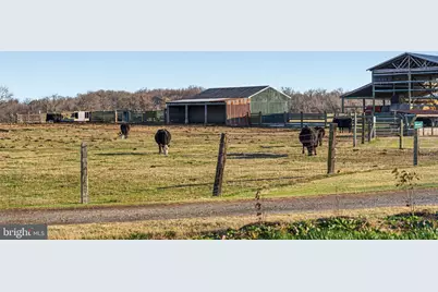 2322 Lodge Forest Drive, Baltimore, MD 21219 - Photo 47