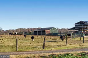 2322 Lodge Forest Dr, Baltimore, MD 21219 - Photo 47