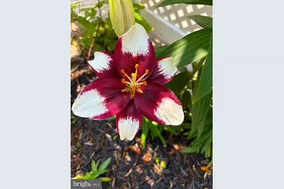 2316 Bauernschmidt, Essex, MD 21221 - Photo 79