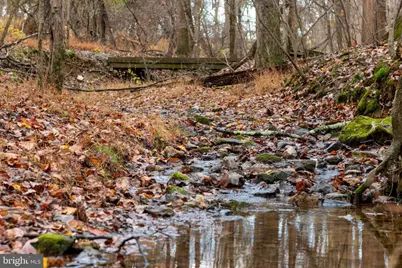 4224 Piney Grove Road, Glyndon, MD 21071 - Photo 17