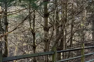 38 Jumpers Cir, Nottingham, MD 21236 - Photo 23