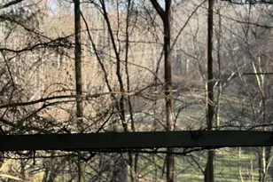 38 Jumpers Cir, Nottingham, MD 21236 - Photo 7