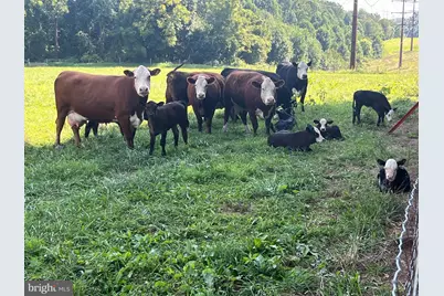 13 Farm Ridge Court, Baldwin, MD 21013 - Photo 57