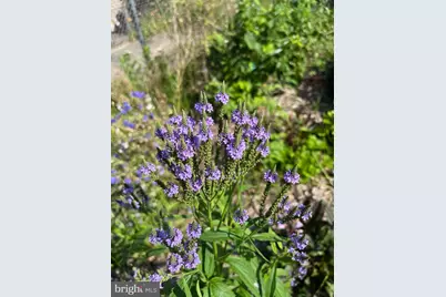 331 Whitfield Road, Baltimore, MD 21228 - Photo 45