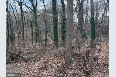 1 Punte Lane, Essex, MD 21221 - Photo 31