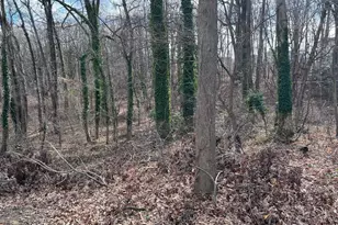 1 Punte Ln, Essex, MD 21221 - Photo 31