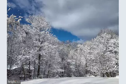 2312 Velvet Ridge Drive, Owings Mills, MD 21117 - Photo 53