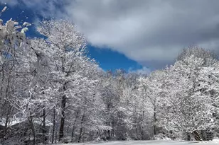 2312 Velvet Ridge Dr, Owings Mills, MD 21117 - Photo 53