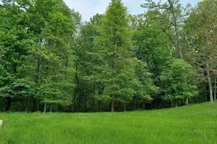 2312 Velvet Ridge Dr, Owings Mills, MD 21117 - Photo 51