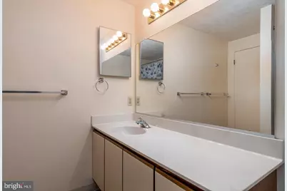 46 Running Brooke Drive, Windsor Mill, MD 21244 - Photo 19