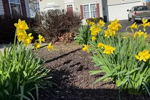 11400 Eunice Ct, White Marsh, MD 21162 - Photo 33