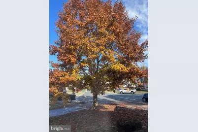 11400 Eunice Court, White Marsh, MD 21162 - Photo 31