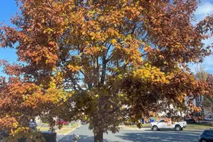 11400 Eunice Ct, White Marsh, MD 21162 - Photo 31