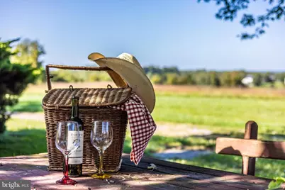 1021 Saffell Road, Reisterstown, MD 21136 - Photo 3