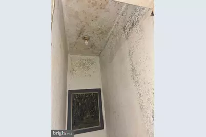 6909 Fait Avenue, Baltimore, MD 21224 - Photo 13