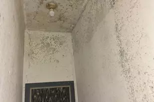 6909 Fait Ave, Baltimore, MD 21224 - Photo 13