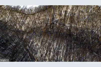 Wilson Road, White Hall, MD 21161 - Photo 9