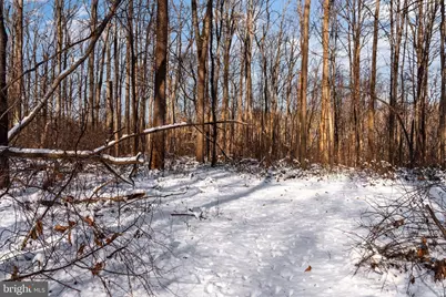 Wilson Road, White Hall, MD 21161 - Photo 13