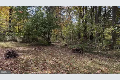 1706 Kurtz Avenue, Lutherville Timonium, MD 21093 - Photo 41