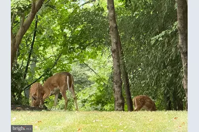 2 Winners Circle #1B, Owings Mills, MD 21117 - Photo 39