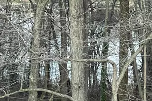 304 Sweetbay Rd, Essex, MD 21221 - Photo 9