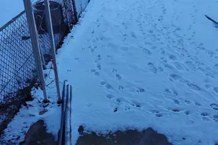 2247 Graythorn Rd, Middle River, MD 21220 - Photo 9