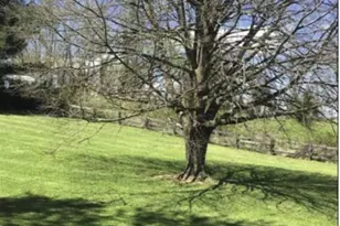 15537 Carroll Rd, Monkton, MD 21111 - Photo 23