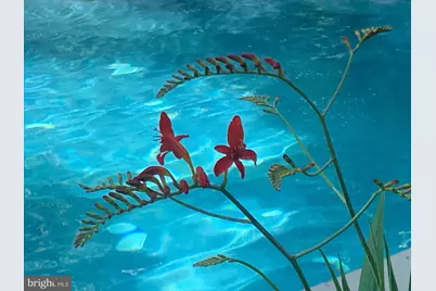 12600 Bonita, Owings Mills, MD 21117 - Photo 129