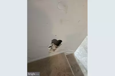 3715 Peace Chance Drive, Randallstown, MD 21133 - Photo 7