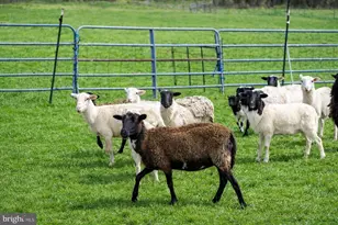 15314 Priceville Rd, Sparks Glencoe, MD 21152 - Photo 23