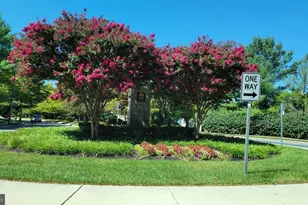 2032 Hunting Ridge Dr, Owings Mills, MD 21117 - Photo 13