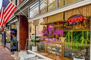 45 Bryans Mill Way, Catonsville, MD 21228 - Photo 47