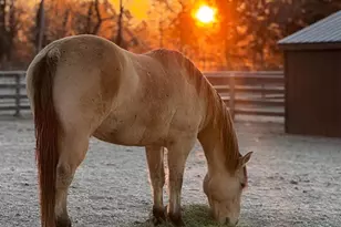 1730 Western Run Rd, Cockeysville, MD 21030 - Photo 25