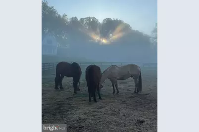 1730 Western Run Road, Cockeysville, MD 21030 - Photo 39