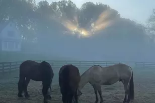 1730 Western Run Rd, Cockeysville, MD 21030 - Photo 39