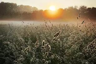 1730 Western Run Rd, Cockeysville, MD 21030 - Photo 11