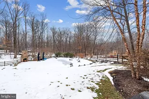 14002 Fox Run Ct, Phoenix, MD 21131 - Photo 47