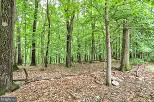 9 Quail Wood Ct, Parkton, MD 21120 - Photo 53