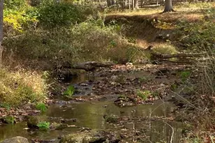 2736 Paper Mill Rd, Phoenix, MD 21131 - Photo 47