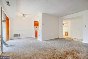 13 Suntop Ct, Baltimore, MD 21209 - Photo 9