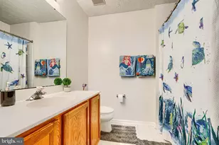 10 Bluestem Ct, Owings Mills, MD 21117 - Photo 21