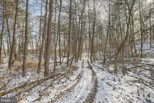 Sumter Ave, Rosedale, MD 21237 - Photo 7