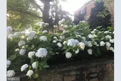 318 Alabama Road, Towson, MD 21204 - Photo 69