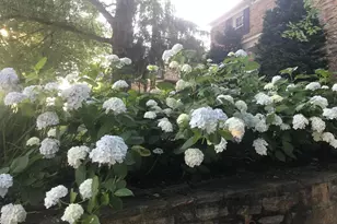 318 Alabama Rd, Towson, MD 21204 - Photo 69